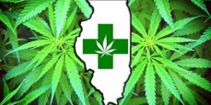 Illinois mmj.jpg Illinois mmj.jpg